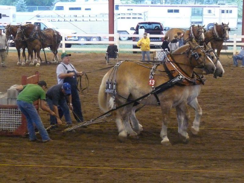Hendricks County 4-H Fairgrounds and Conference Complex
