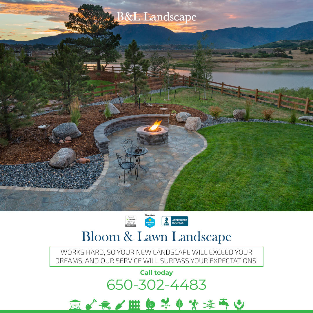 Bloom and Lawn Landscaping Photo