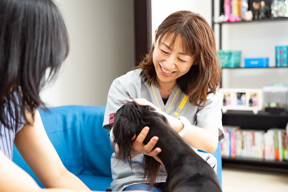 Images メープルファミリー動物病院