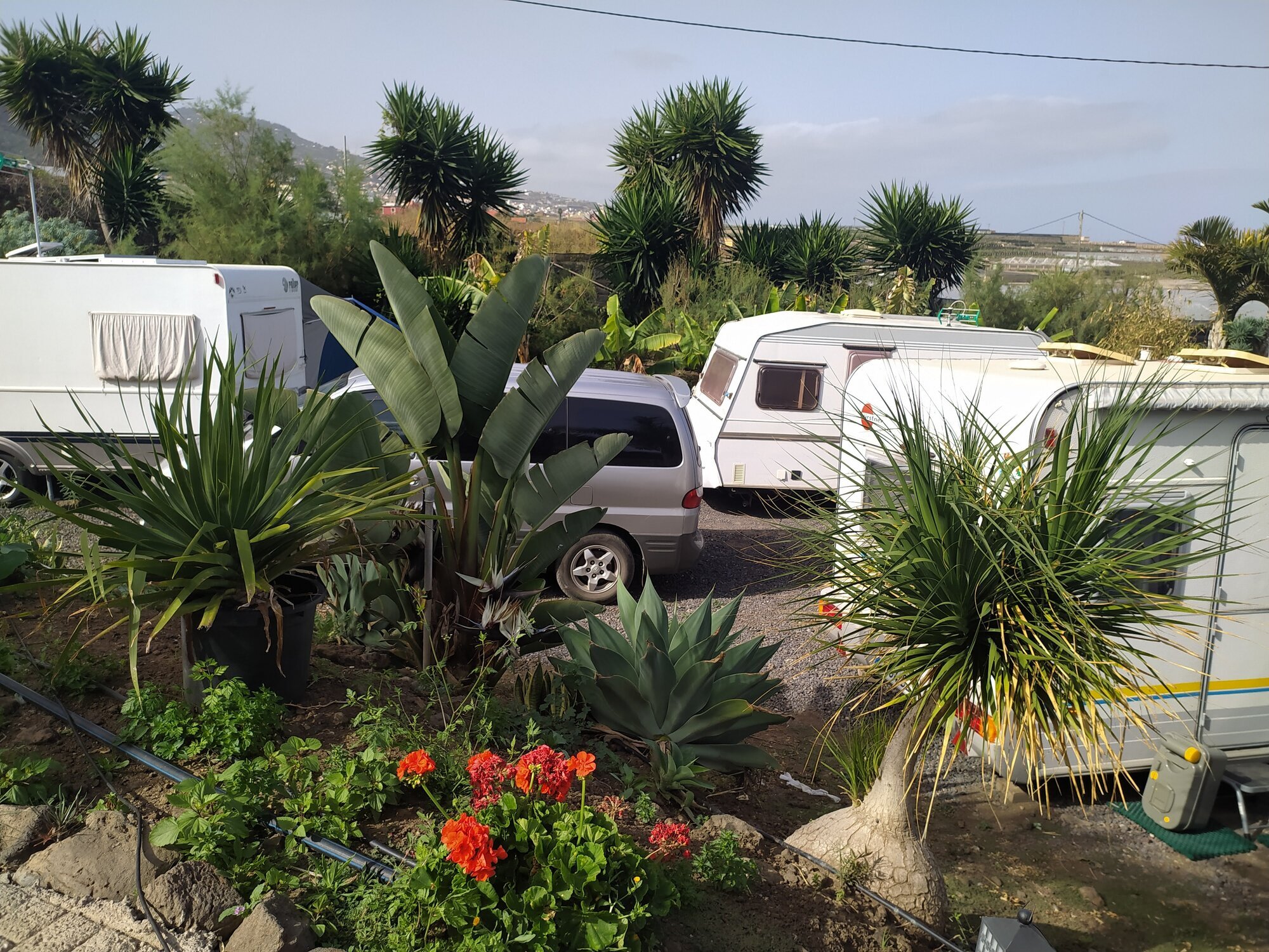 Images Agro Camping Invernaderito