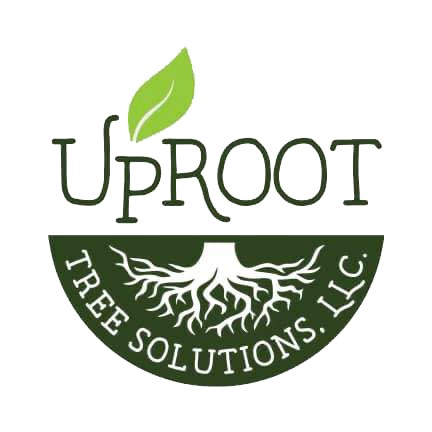 UpRoot Tree Solutions LLC Logo