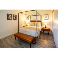 Stylish bedroom with canopy bed and midcentury nightstand