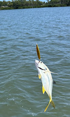 Images Treasure Coast Boat Rentals