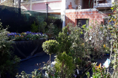 Images Novagri Garden