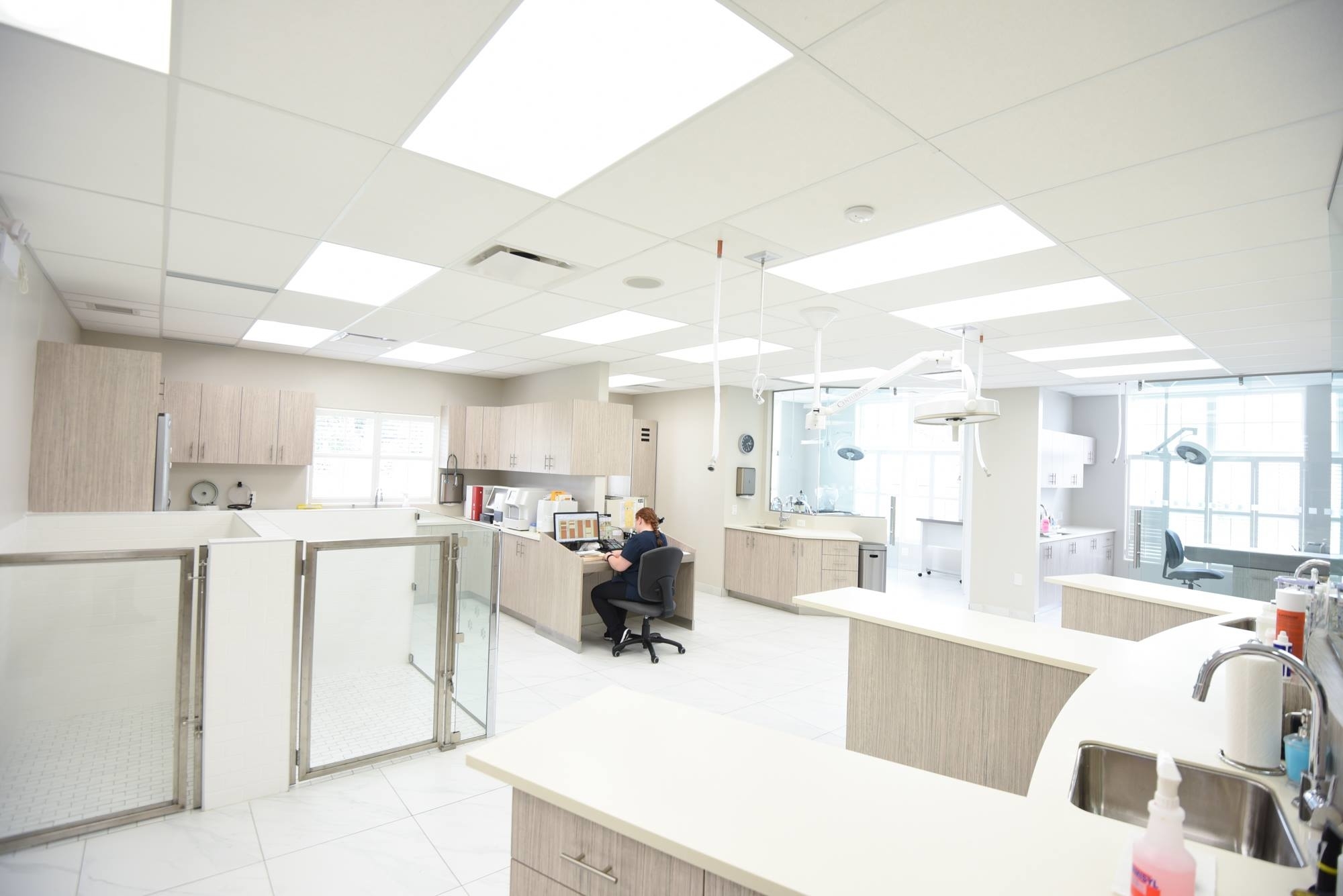 Callbeck Animal Hospital in Whitby, 950 Taunton Rd E Veterinarians in