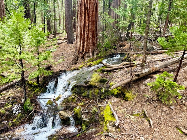 Images Brent Maudlin - State Farm Insurance Agent