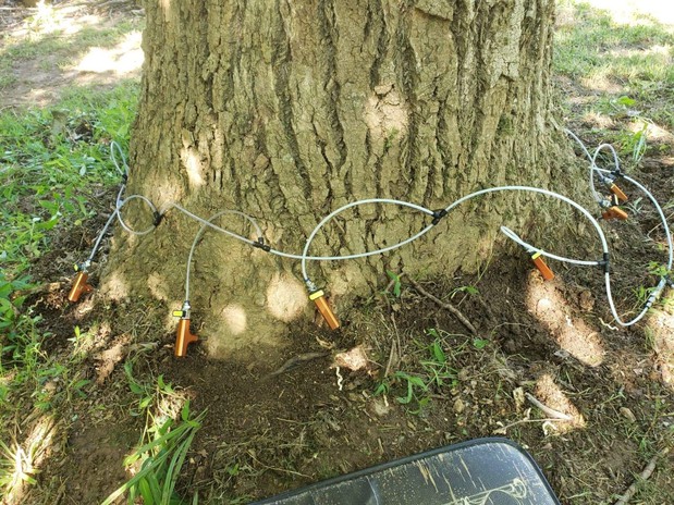 Images Friendly Tree Service Inc