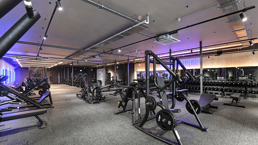 Free Weights Area