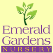Emerald Gardens Nursery Logo