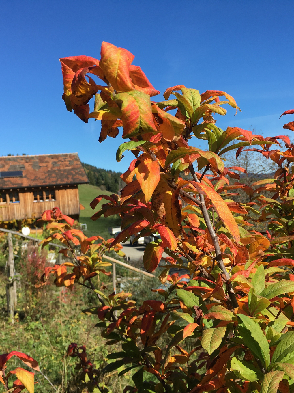 Bilder Kälin & Helbling AG