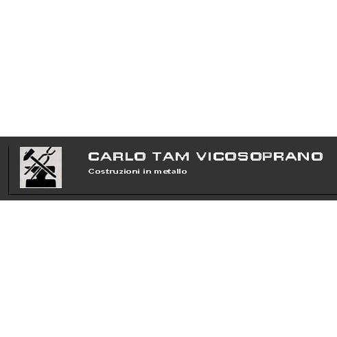 Tam Metalcostruzioni Sagl Logo