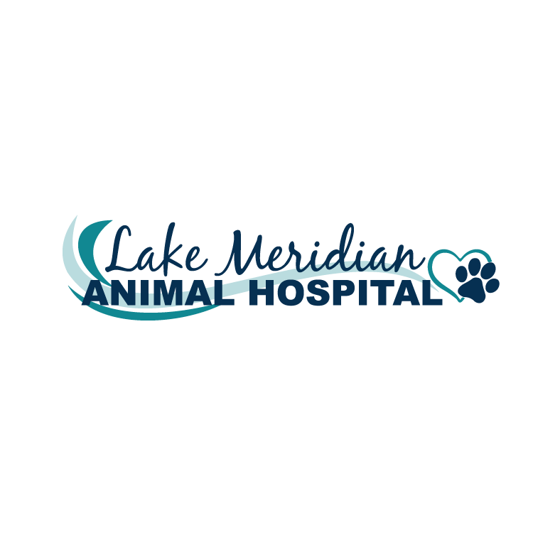 Lake Meridian Animal Hospital - Kent, WA 98030 - (253)638-8833 | ShowMeLocal.com