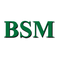 BSM Gebäudetechnik GmbH in Rendsburg - Logo