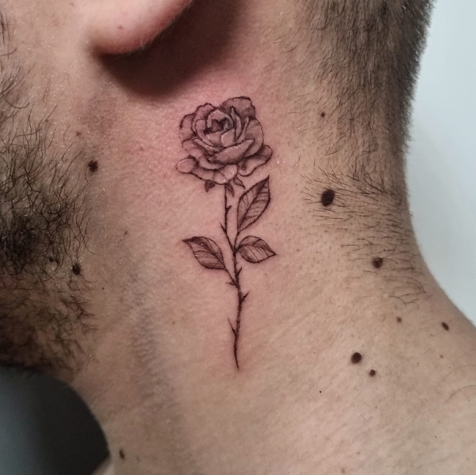 Images Noctaris Tattoo