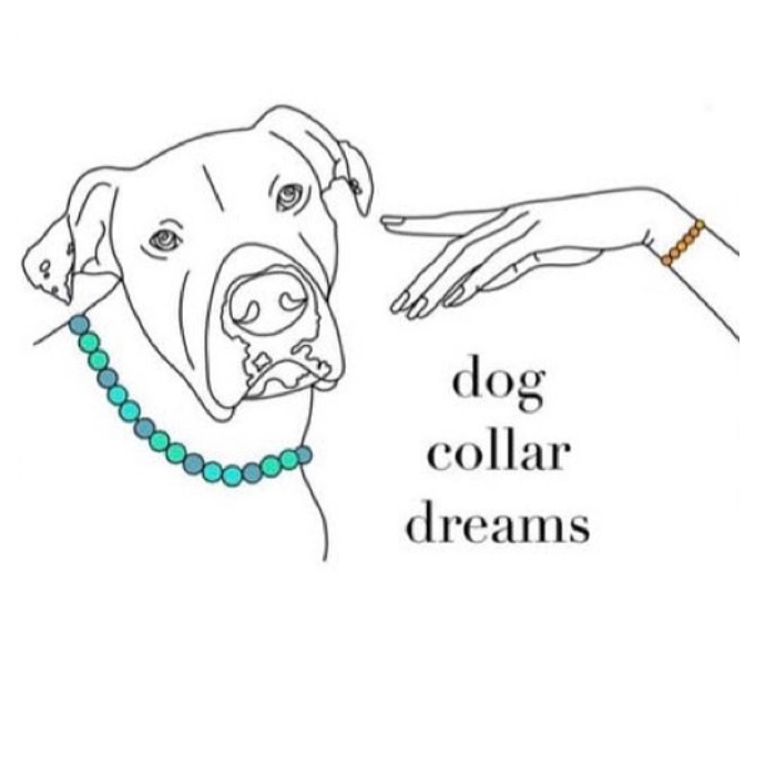 Dogcollardreams in Duisburg - Logo