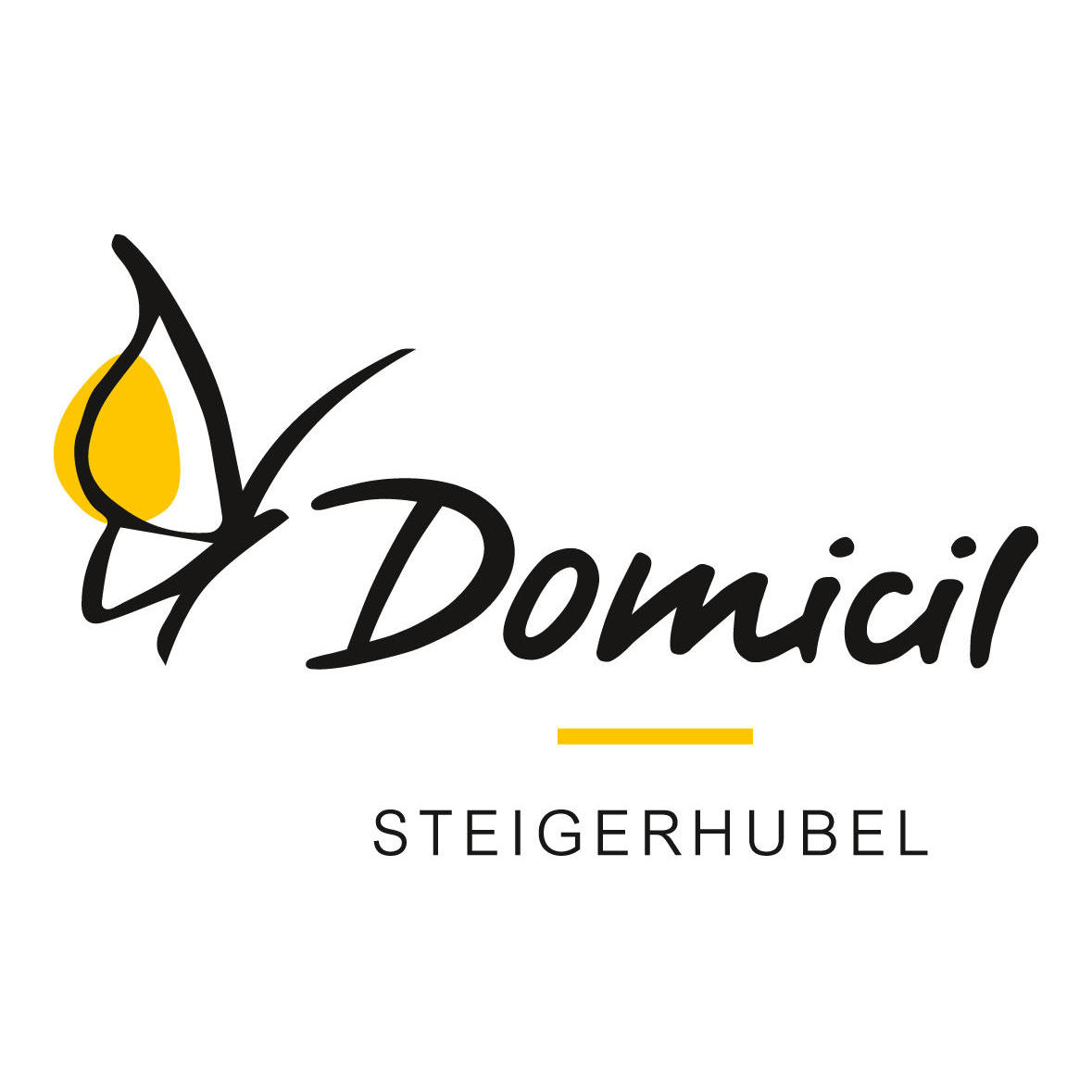 Domicil Steigerhubel Logo