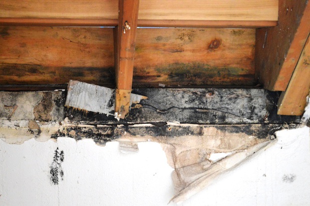 Images CCS Property Services LLC