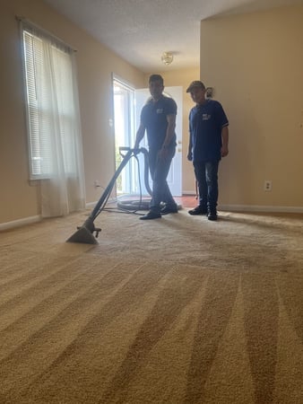Images Best Carpet Cleaning