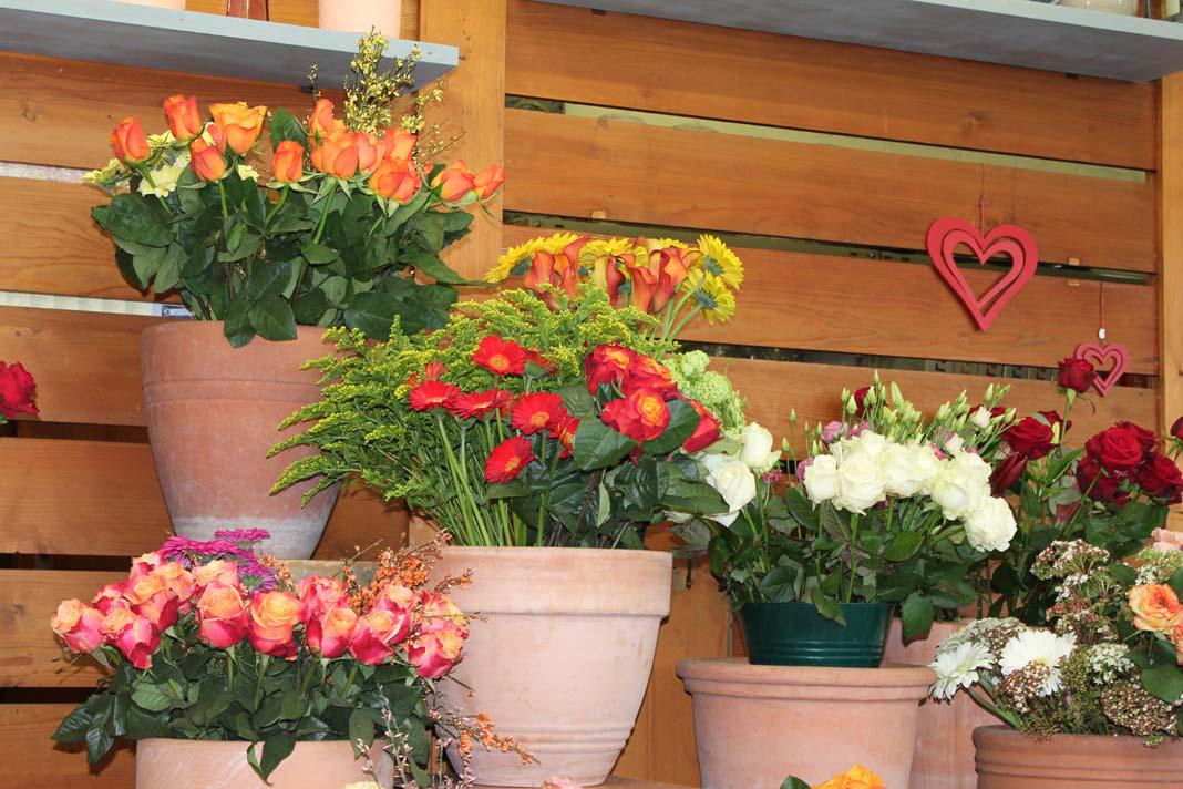 Blumen Petsch, Äußere Brucker Straße 53 in Erlangen