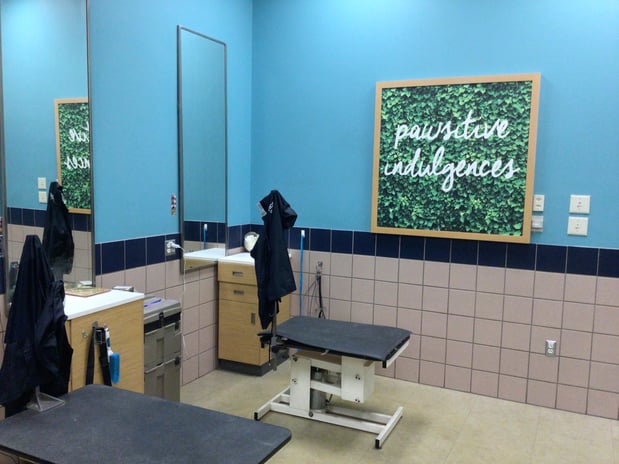 Images Petco