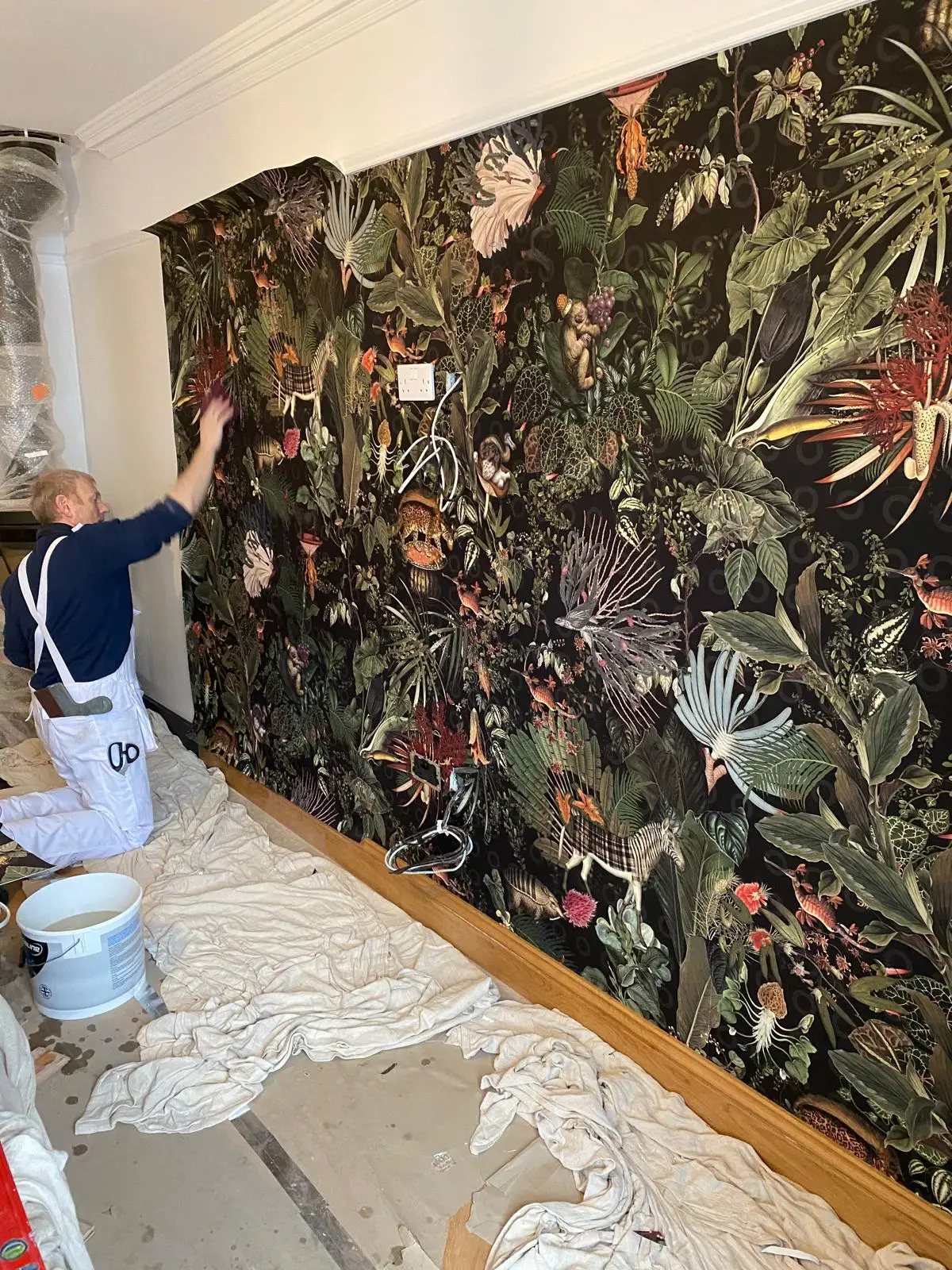 Images Stuart Wylie Decorators Ltd