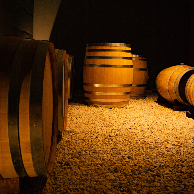 Images Cantine Terre Bianche Cappabianca