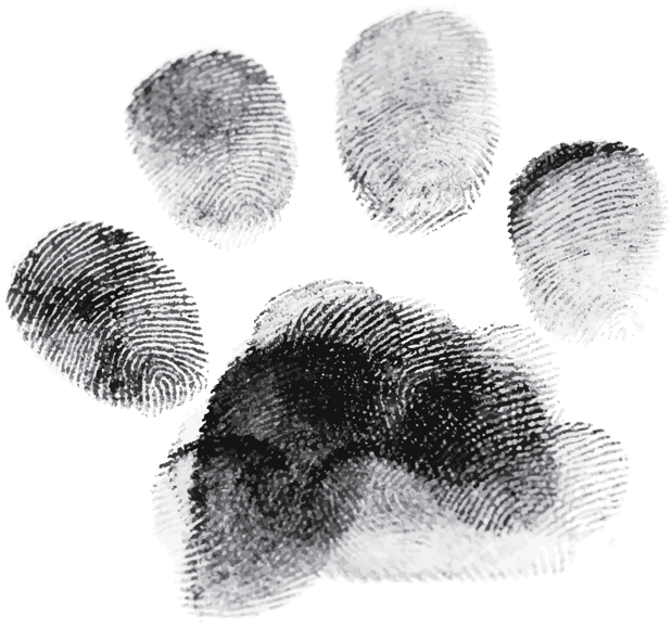 Images Bowie Barker West Hollywood