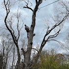Images J and T Climbing