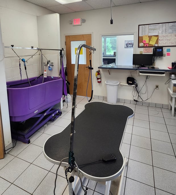 Images VCA AVH Animal Hospital