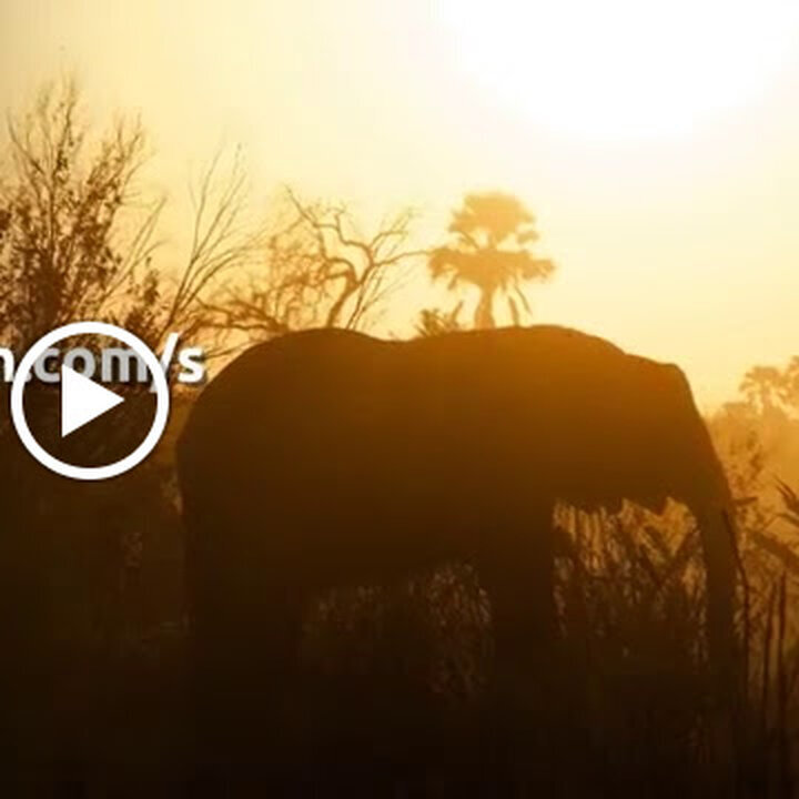 Go n joy Africa, Hönower Straße 35 in Berlin