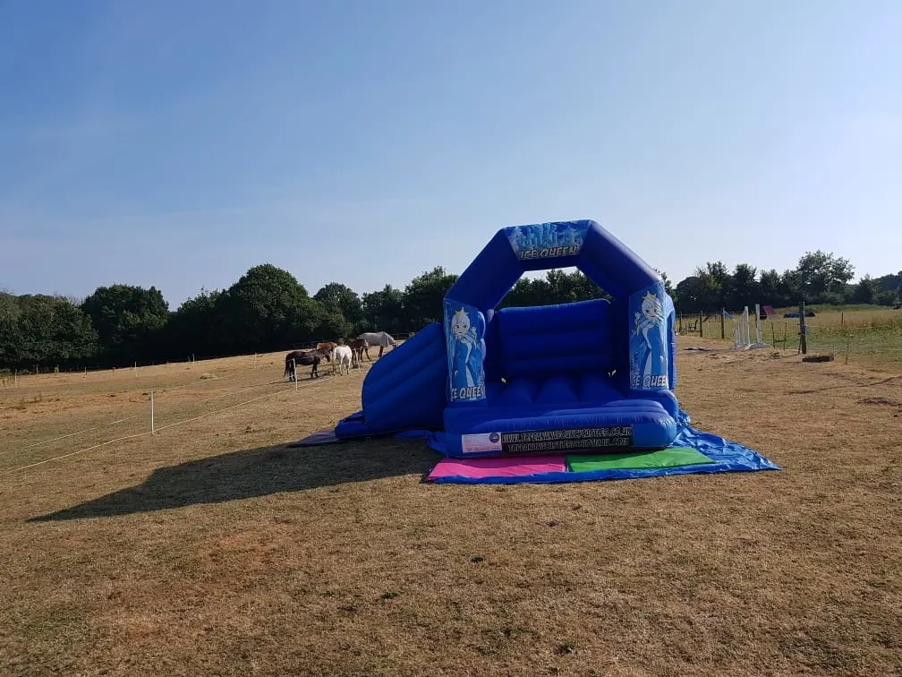 Images Top Banana Bouncy Castles
