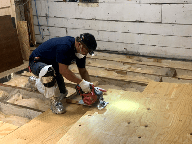 Images Green Rodent Restoration