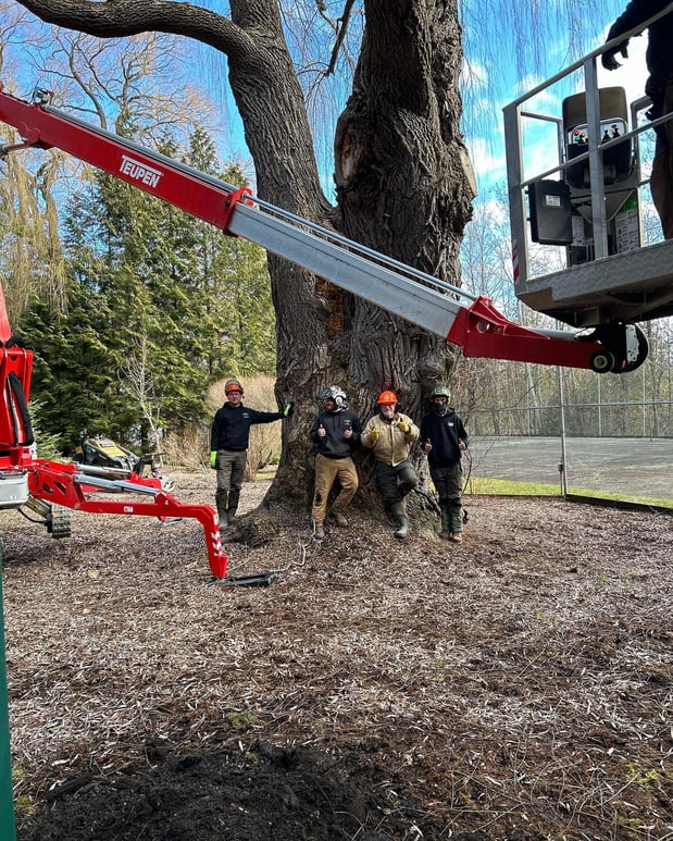 Images Deering Tree Service