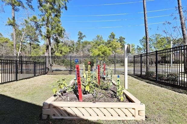 Images Primrose School of Eagle Springs
