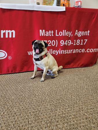 Images Matt Lolley - State Farm Insurance Agent