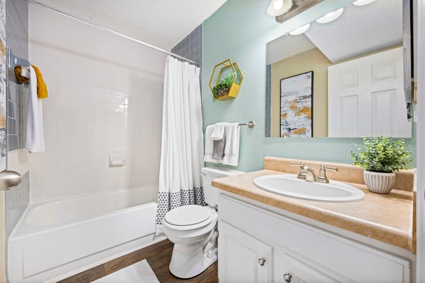 Images MAA Hermitage