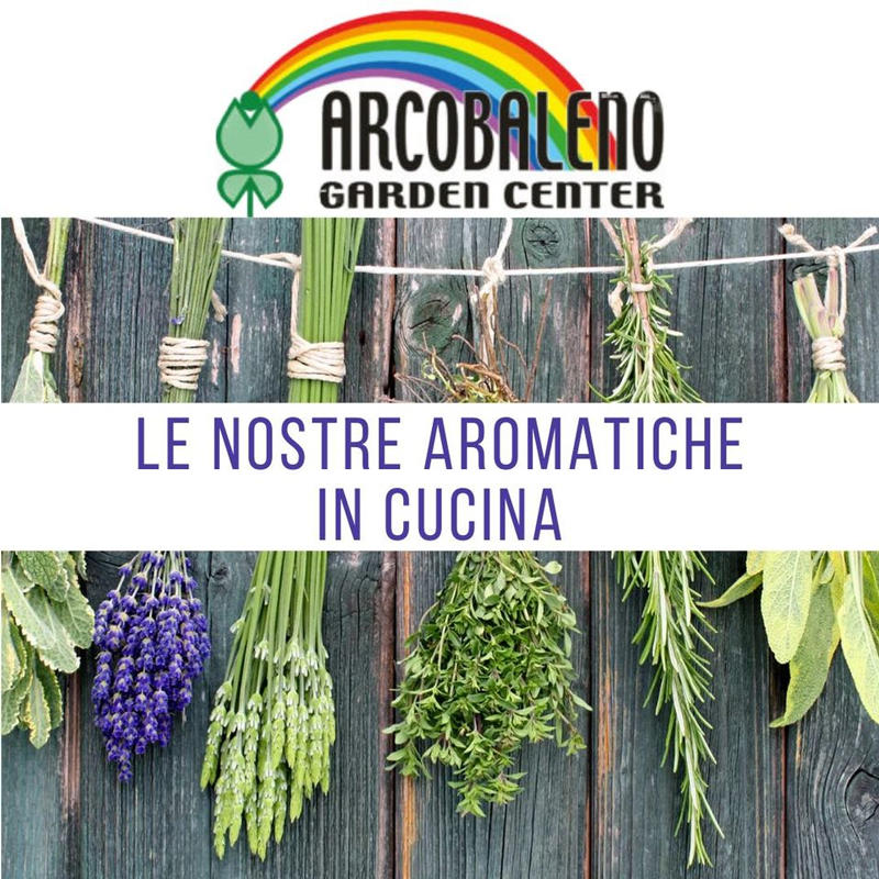 Images Arcobaleno Garden