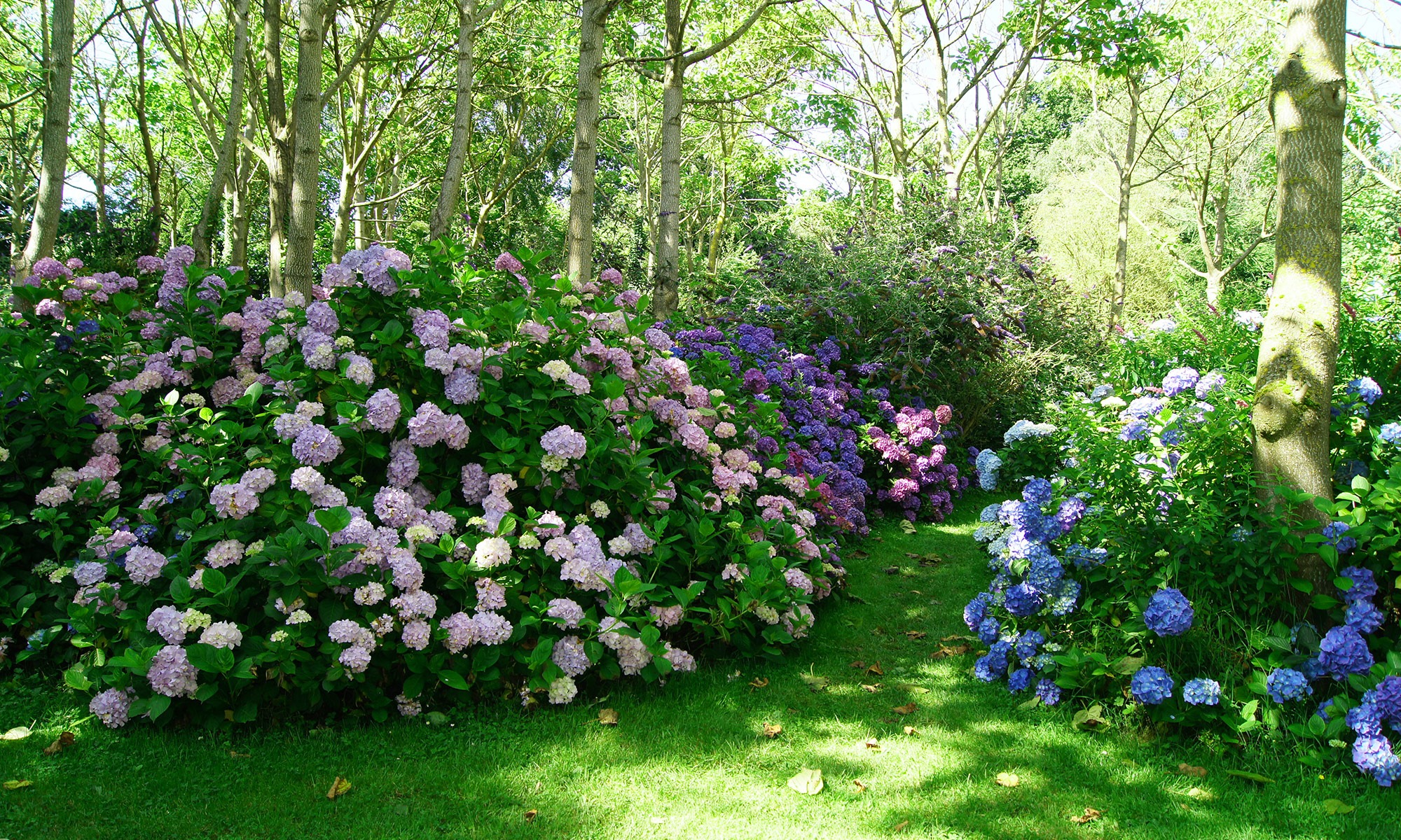 Bilder Bernet Gartenbau AG