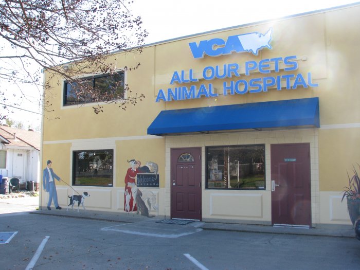 Image 8 | VCA All Our Pets Animal Hospital