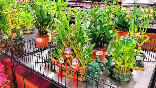 Images Enson Market