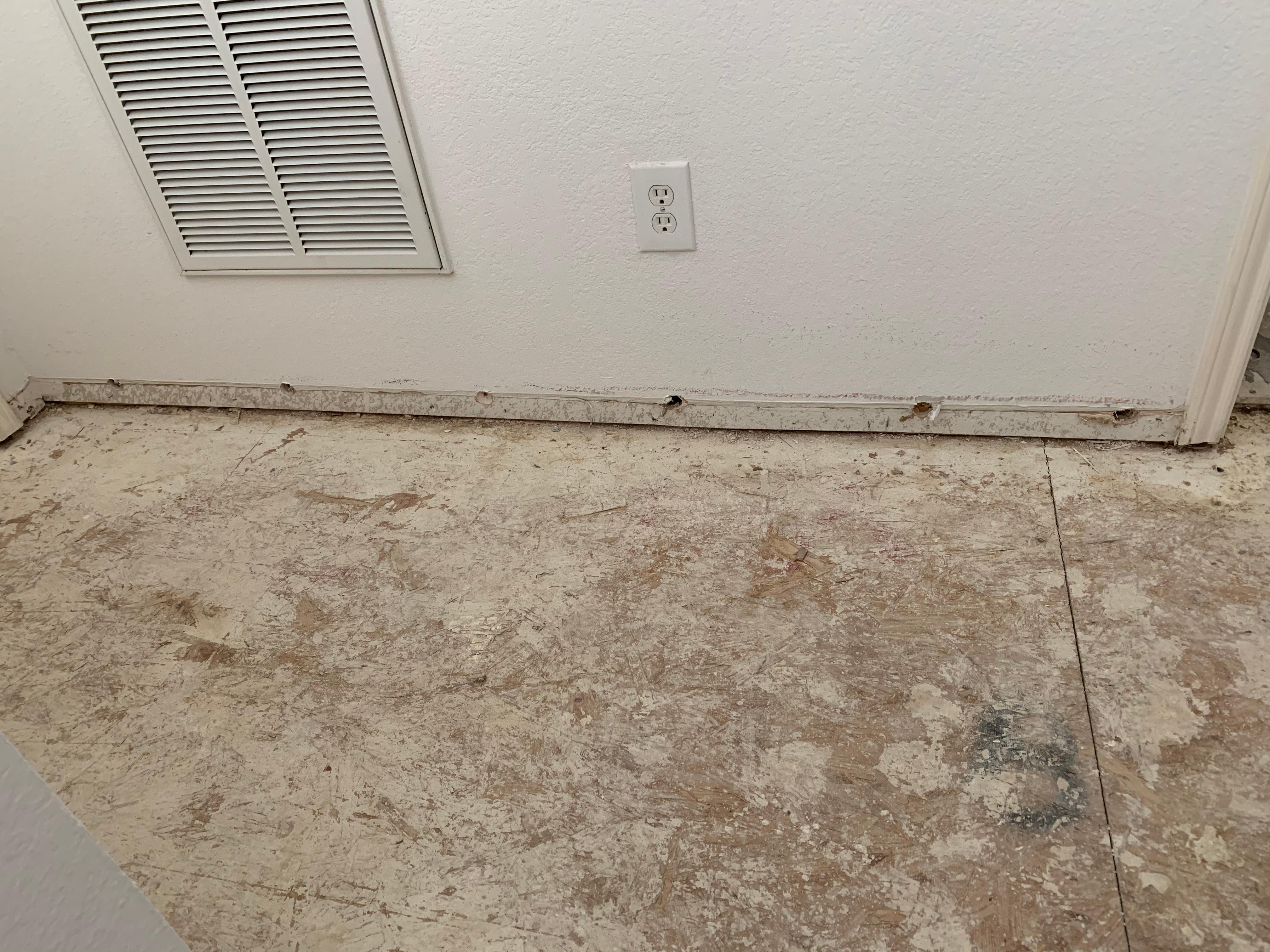 SERVPRO of South Garland is the leader in mold removal and remediation in Garland, TX.