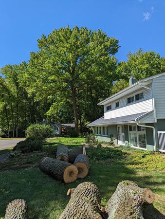 Images Grind Time Tree Service