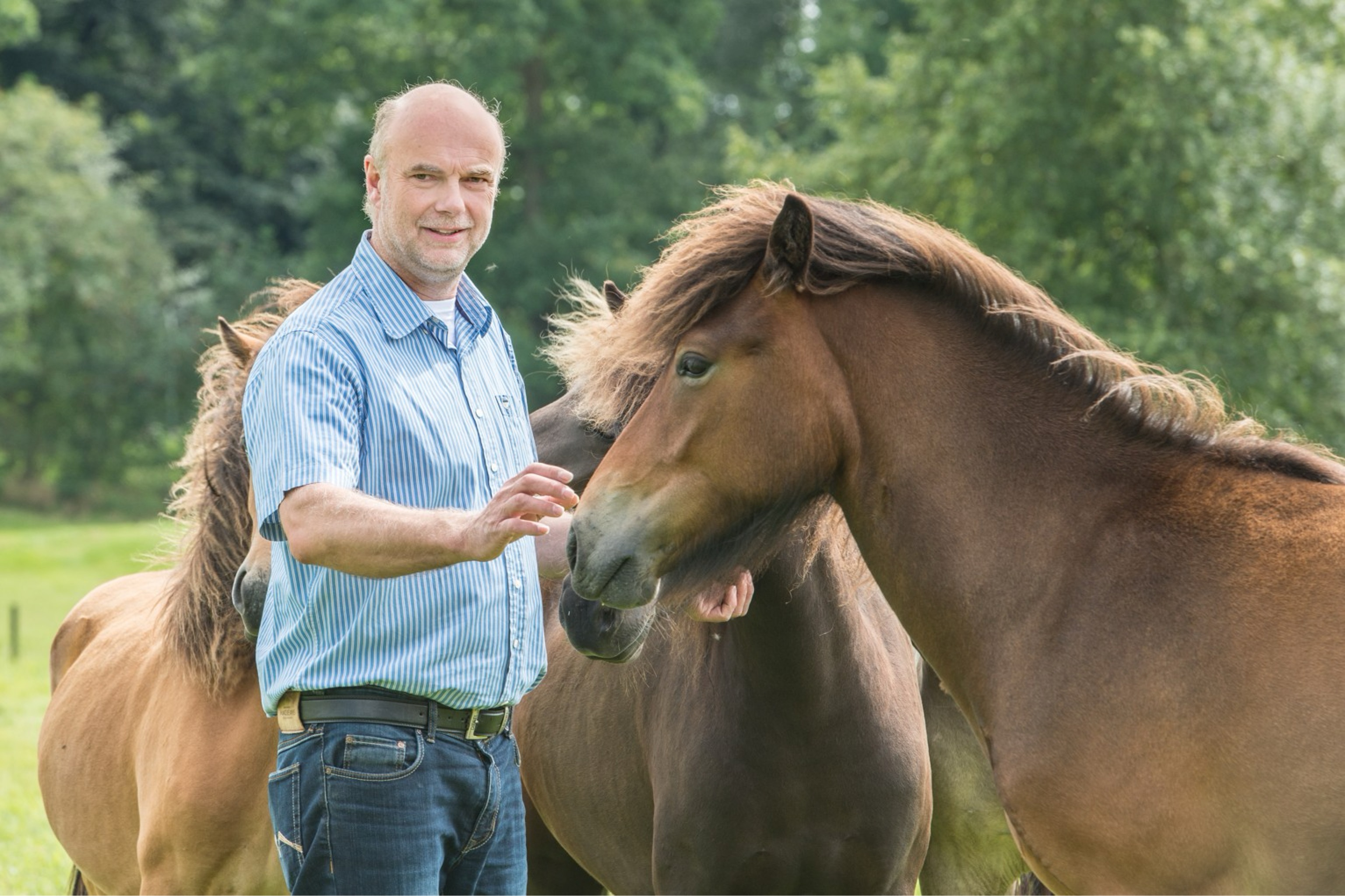 Tierärztliche Praxis für Pferde Thorsten Wruck in Bremervörde - Logo