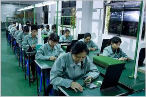 ACM Fontane Electronic GmbH, Saseler Mühlenweg 6 in Hamburg