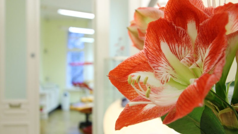 Orthodont Kieferorthopädie Charlottenburg, Meinekestraße 3 in Berlin