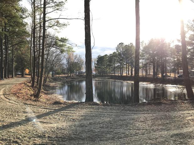 Images Treeside RV Park