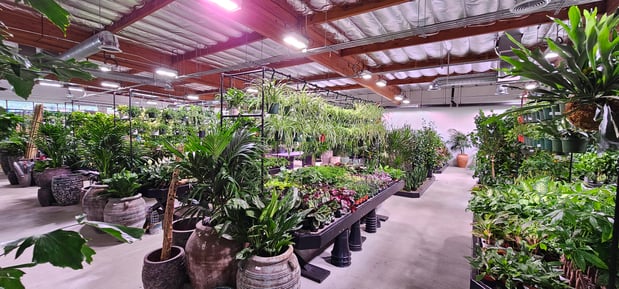 Images Deep Roots Garden Center