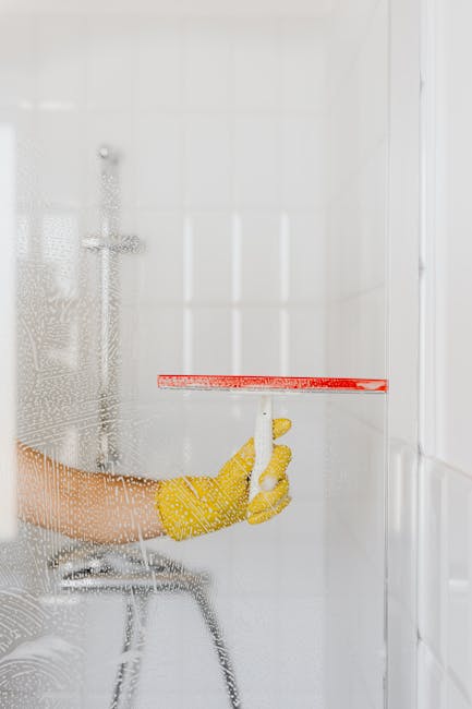 Images Santos Cleaning