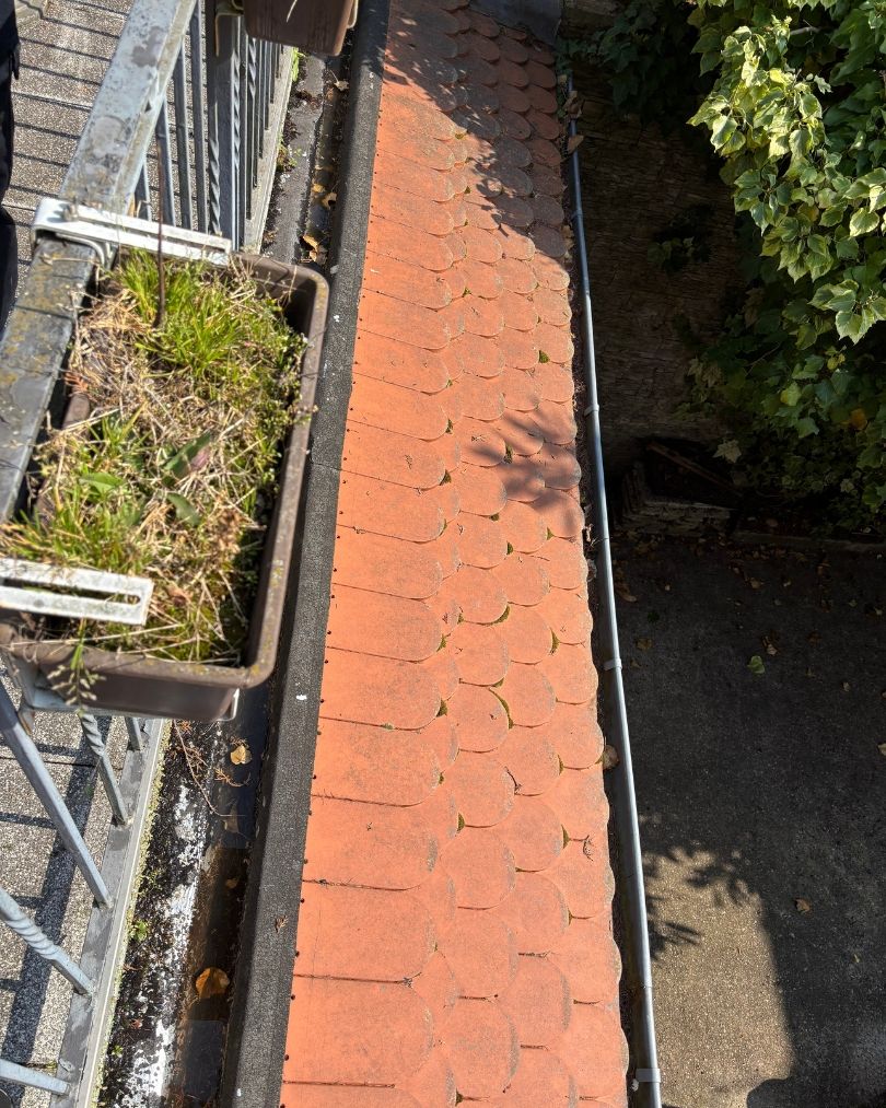 Hausmeister mit Leidenschaft, Inh. Leo Omorokunwa, Schwälmer Straße 1 in Frankfurt am Main