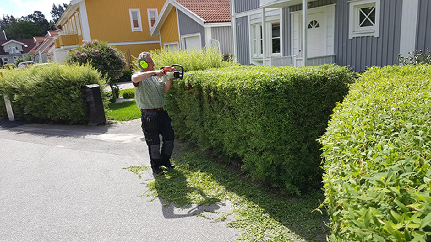 Images Rokvists Trädgårdsservice AB